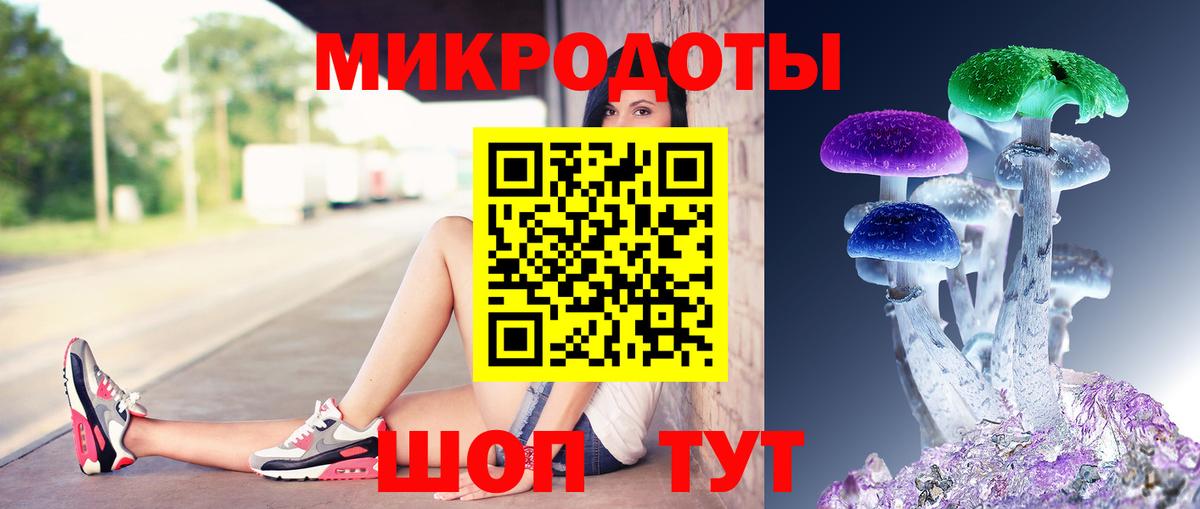Канаш  купить наркотик  Вход с VPN  Псилоцибиновые грибы мухоморы 